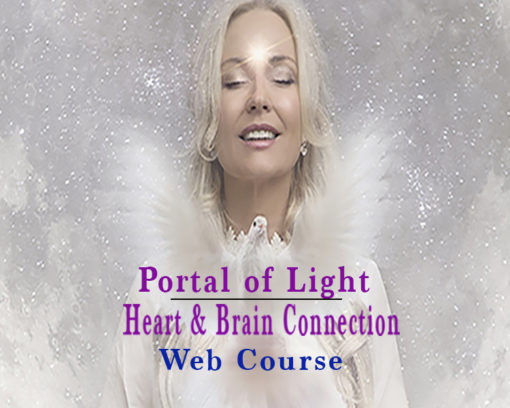 Online Course - Portal of Light